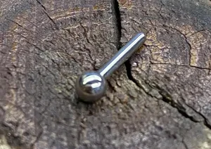 18g Threadless BARBELL Backing