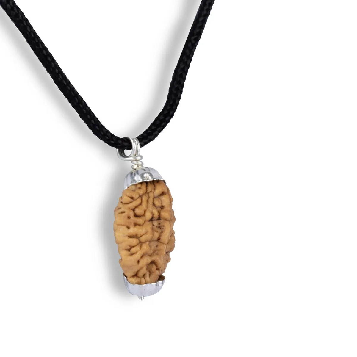 2 Face Rudraksha Bead Pendant | South Rudraksha Bead/ Silver Cup Rudraksha Locket for Men & Women