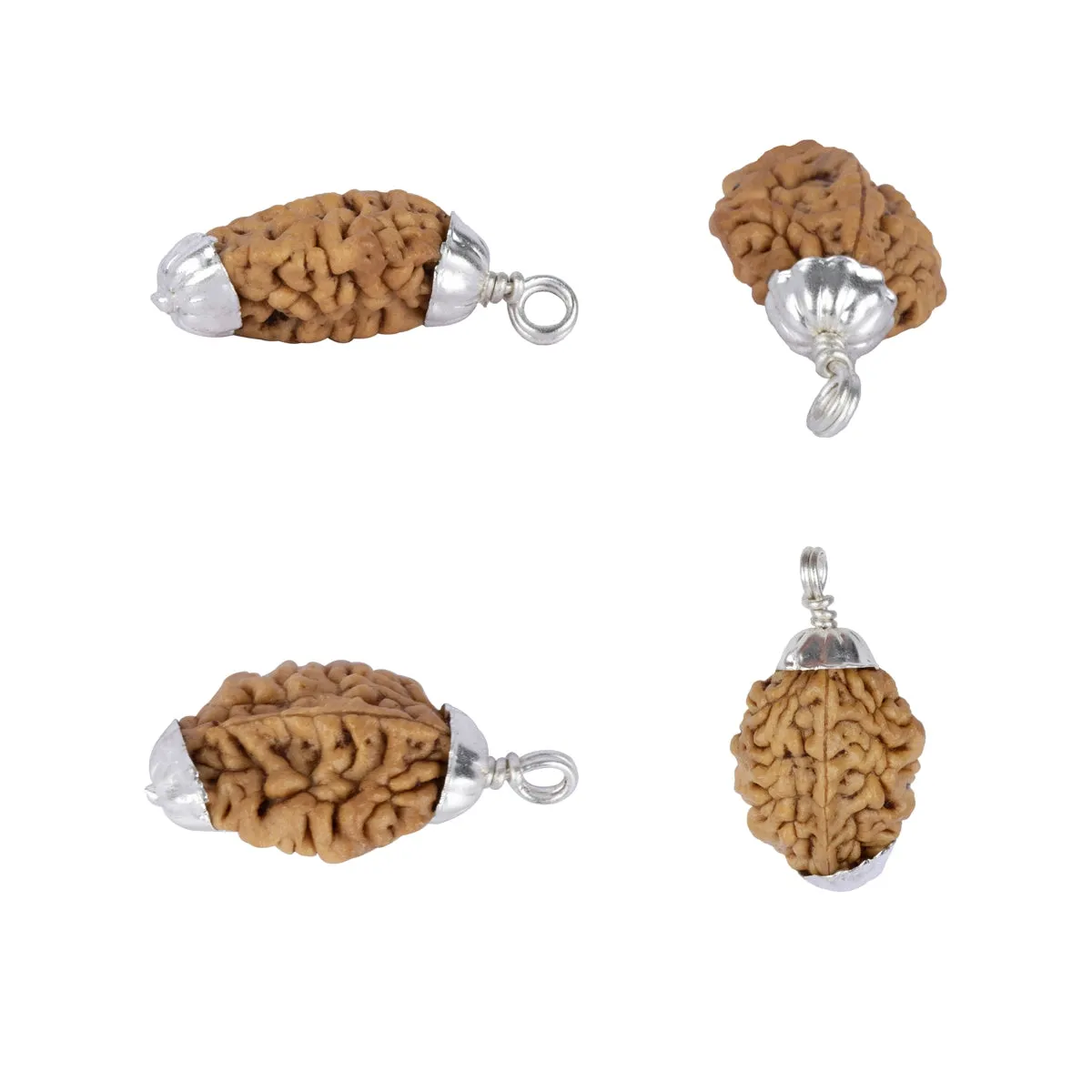 2 Face Rudraksha Bead Pendant | South Rudraksha Bead/ Silver Cup Rudraksha Locket for Men & Women