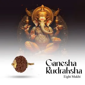 8 Face Rudraksha Pendant | Golden Cup Rudraksha Pendant/ Java Rudraksh Locket for Men & Women