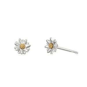 Daisy London Bellis Daisy Stud Earrings 5MM E2001