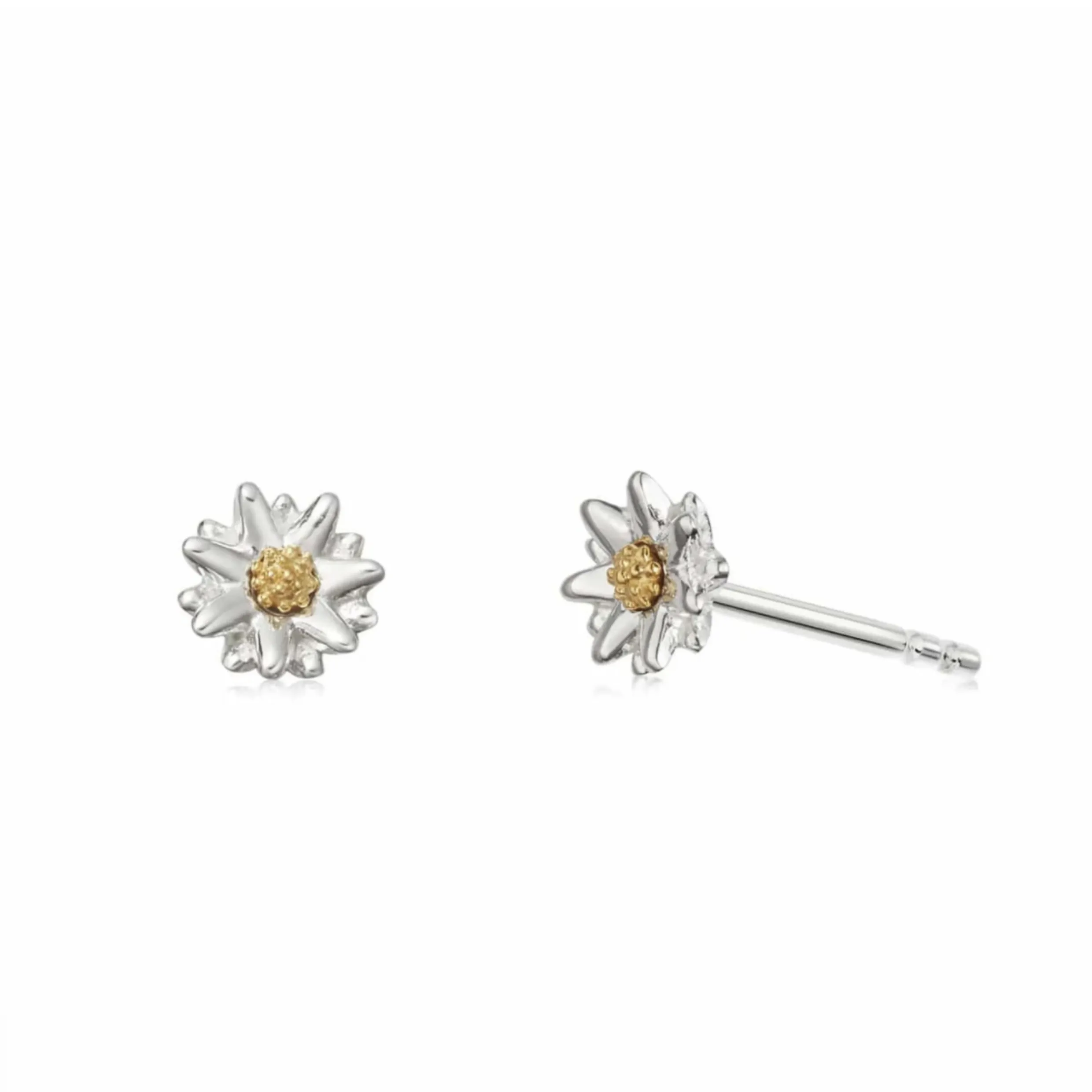 Daisy London Bellis Daisy Stud Earrings 5MM E2001