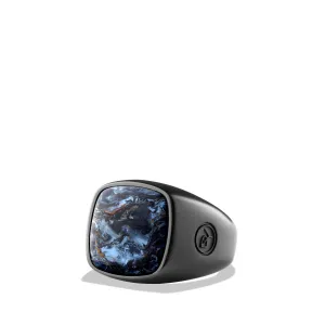 Exotic Stone Ring with Pietersite in Black Titanium