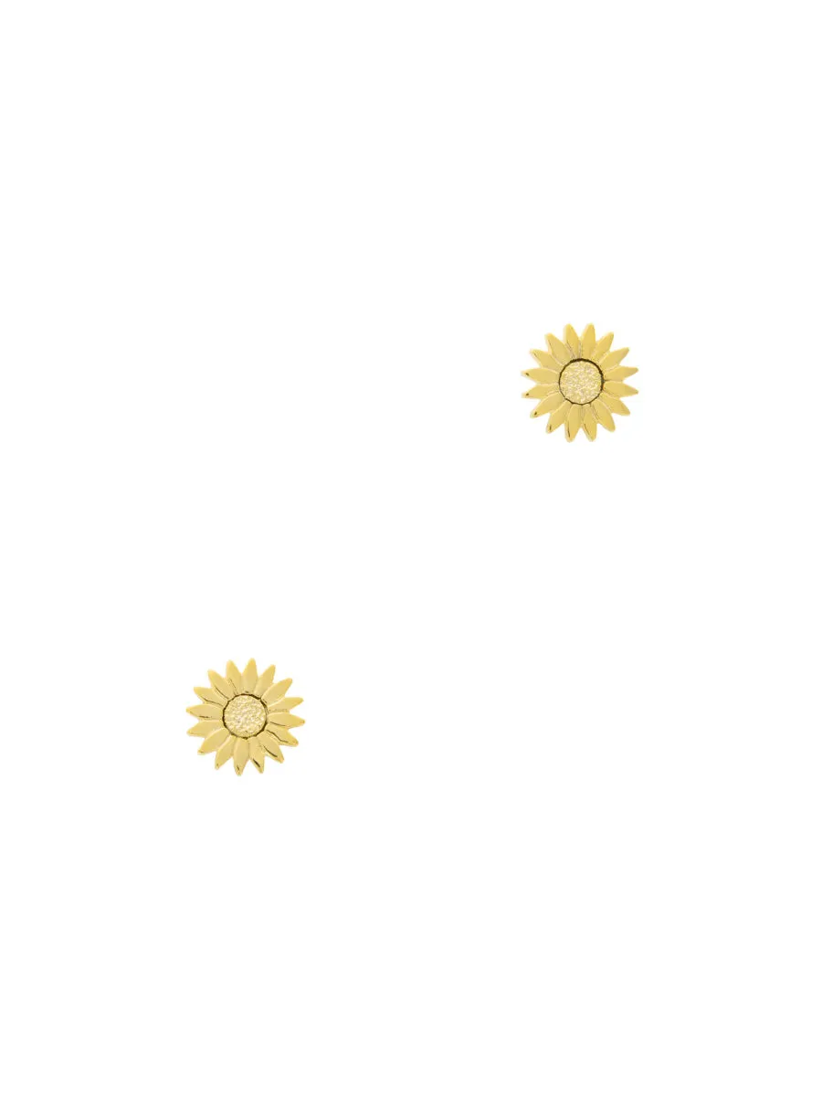 Gold Daisy Posts